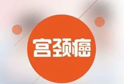 微信截图_20230413182218