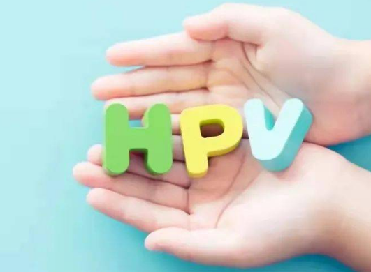 微信截图_20230413182208