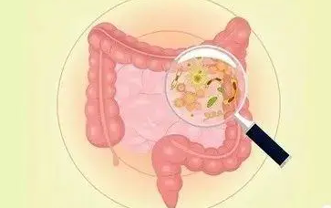 微信截图_20230414153952