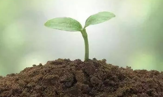 微信截图_20230414193456