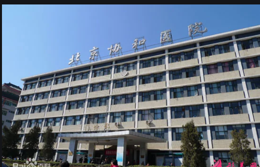 北京协和医院.png