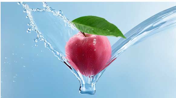 null 17253481804526631.jpg